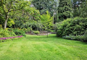 Optimiser l'expérience du jardin à Saint-Maurice-Navacelles